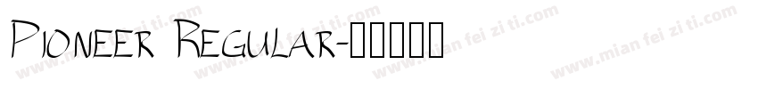 Pioneer Regular字体转换